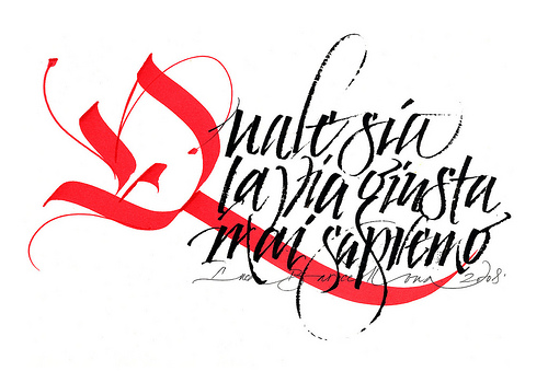 2363958827_d5c72e7323