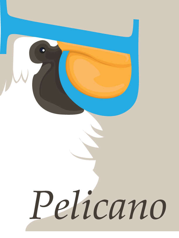 pelicano