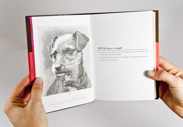 1520e5dbf8f4995063944838a57bcc74